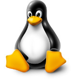 Linux Logo